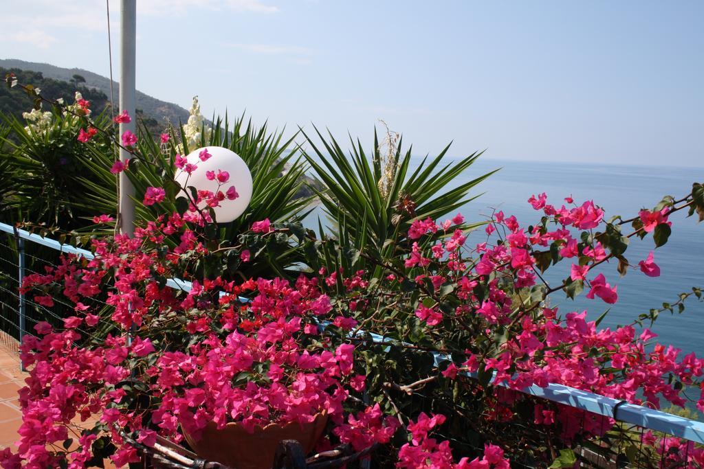 Camere & Case Vacanze Lo Scoglio Castel di Tusa Εξωτερικό φωτογραφία
