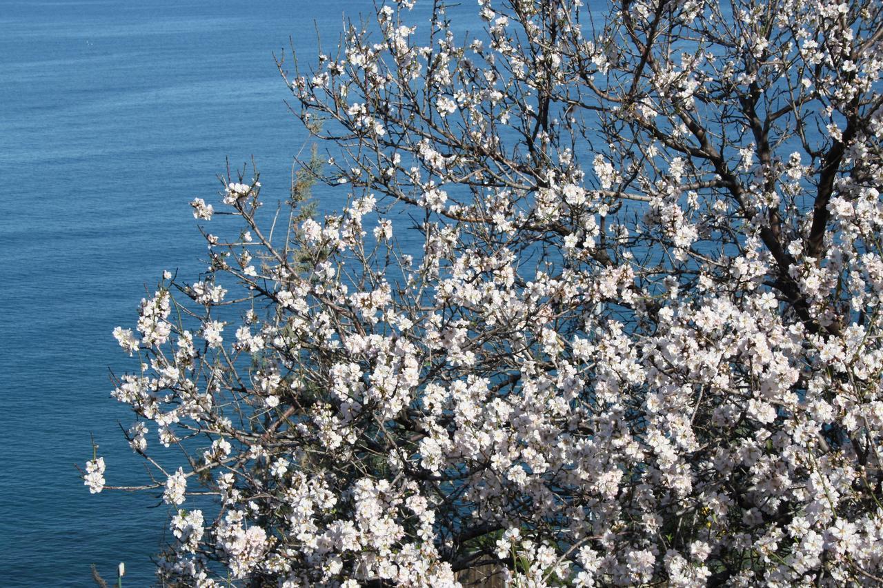 Camere & Case Vacanze Lo Scoglio Castel di Tusa Εξωτερικό φωτογραφία