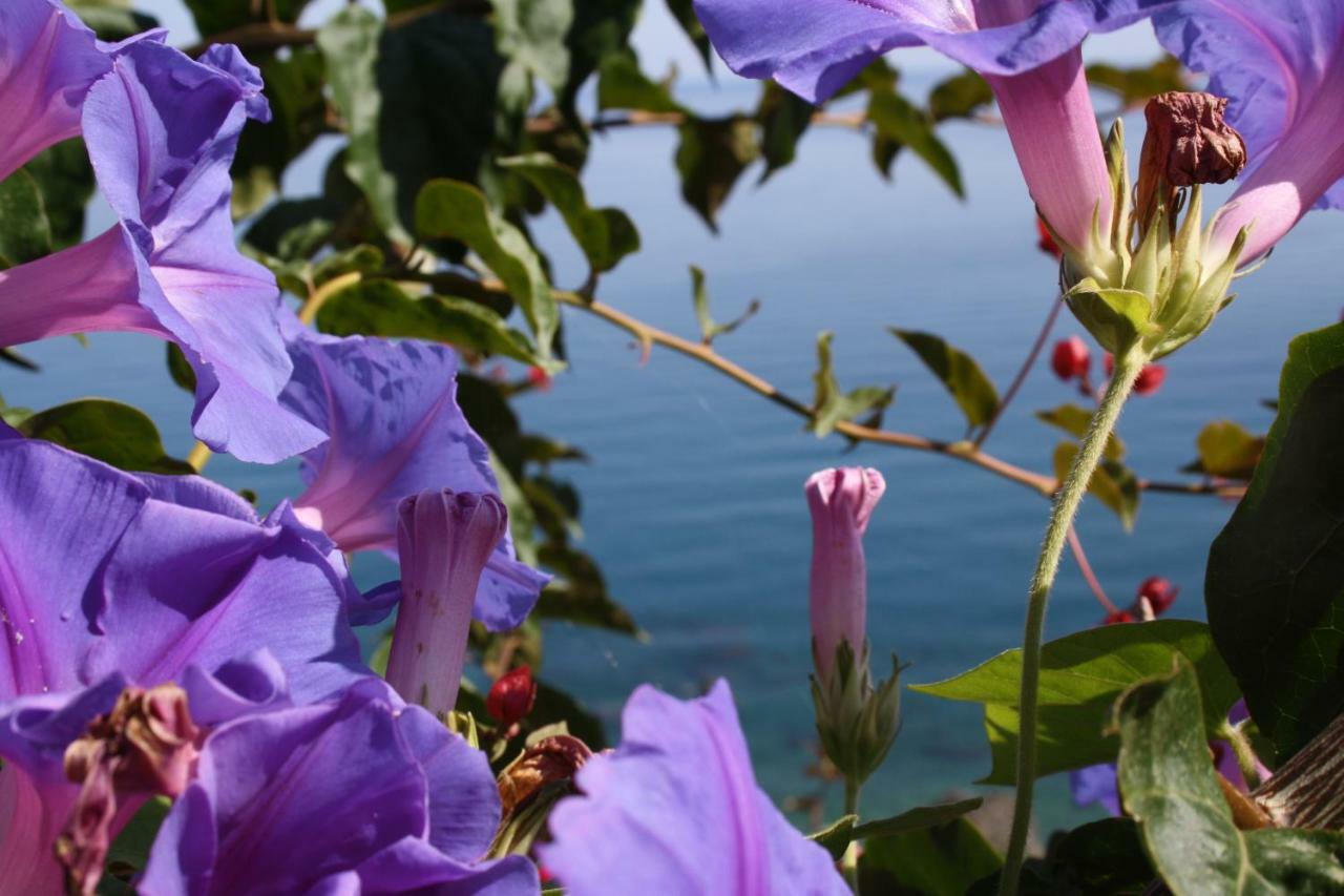 Camere & Case Vacanze Lo Scoglio Castel di Tusa Εξωτερικό φωτογραφία